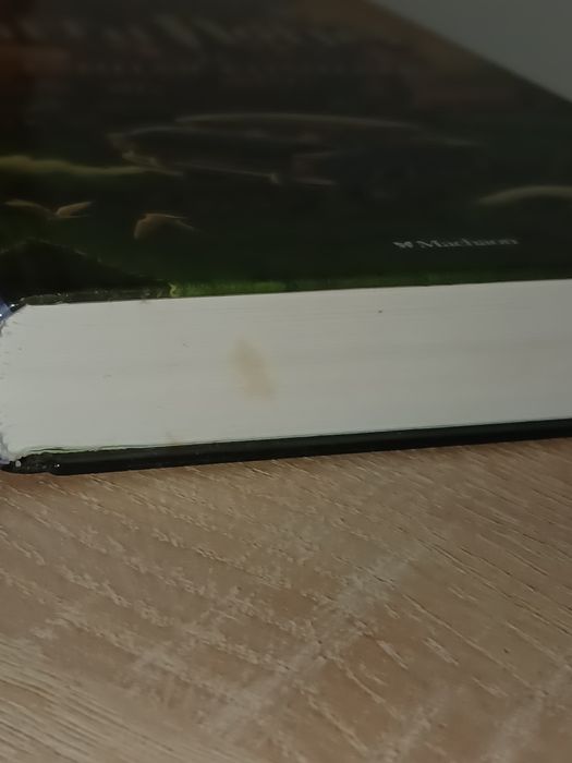 Гарри Поттер и Тайная комната