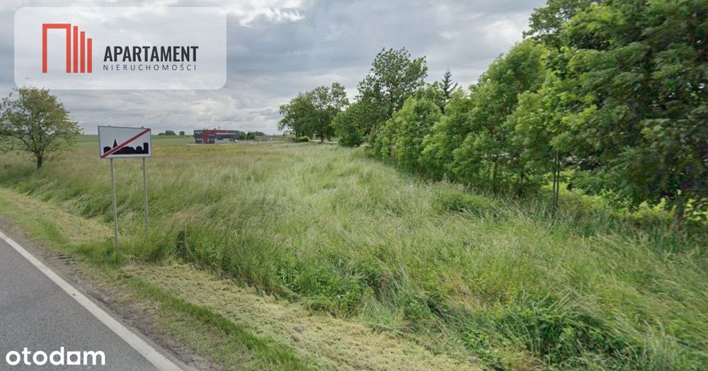 Działka inwestycyjna przy Dk36 - Widok 4