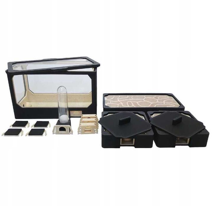 Formikarium AVERAGE L - Terrarium Dla Mrówek Modułowe 210x140 - OKAZJA