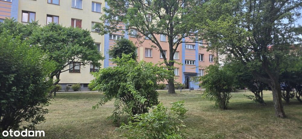 Mieszkanie, Końskie