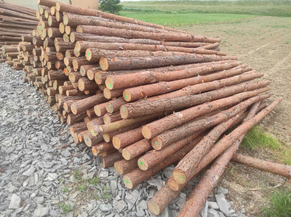 stemple (stęple), korowane, budowlane,  NOWE 2-6m