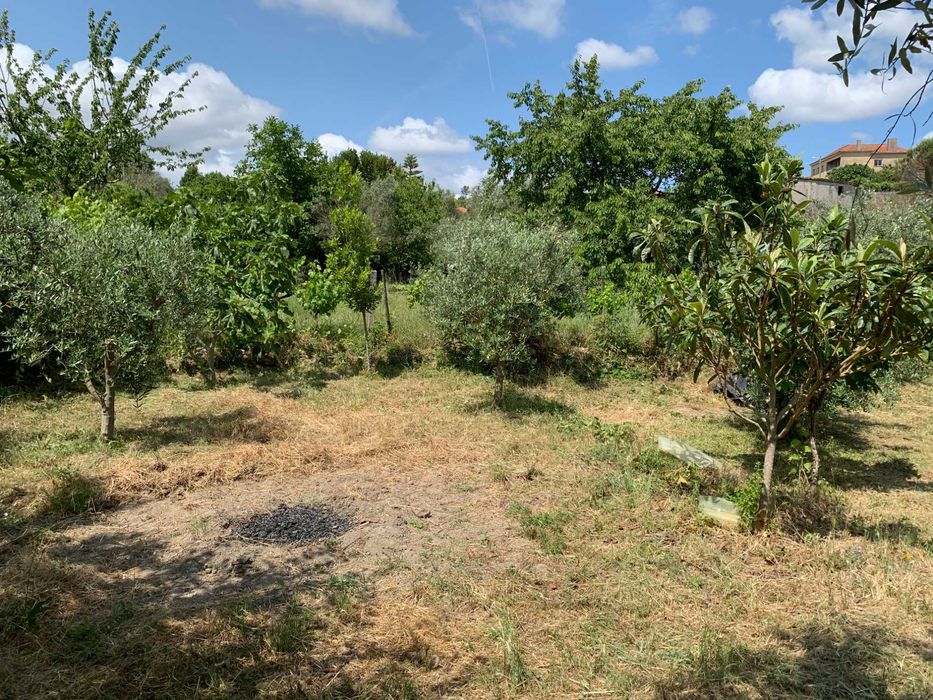 Terreno Particular com Viabilidade de construção em Mangualde