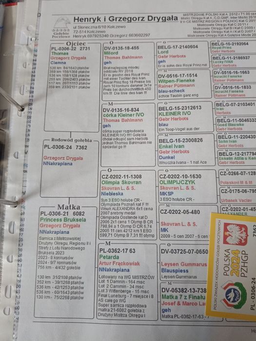 Redukcja rozpłodu