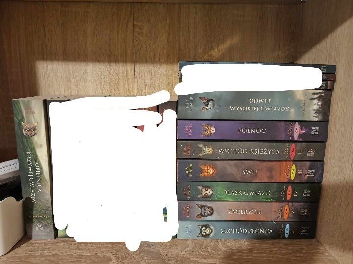 Seria książek Wojownicy