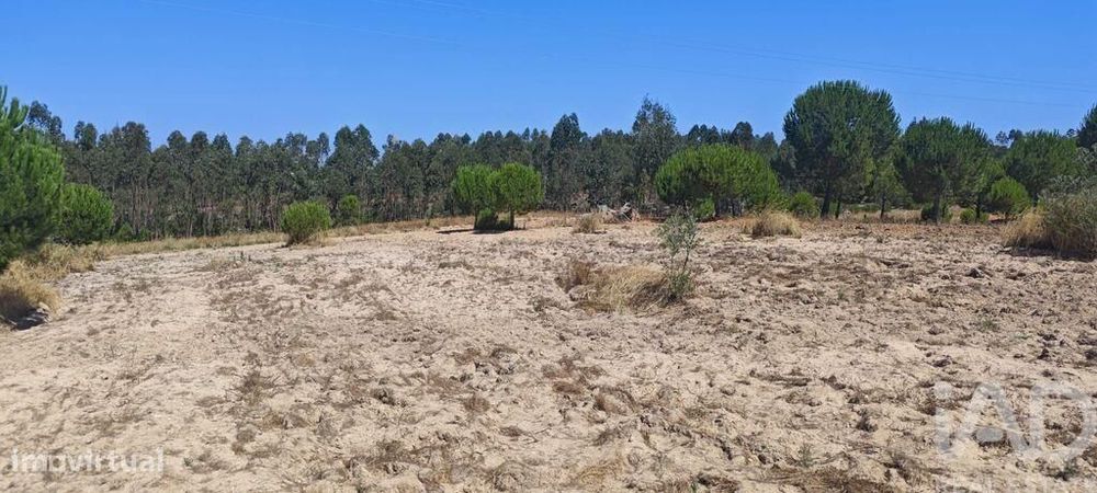 Terreno para construção em Branca de 7020,00 m2