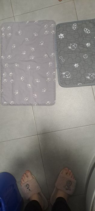 пиленки,пелюшка для цуцинят