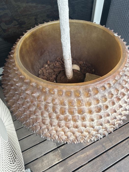 Vaso de Planta
