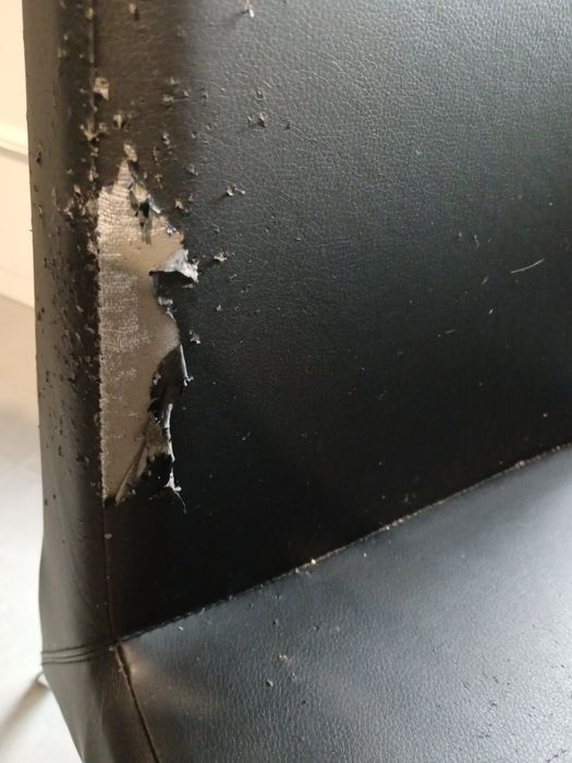 Cadeiras de sala cor preta  em napa