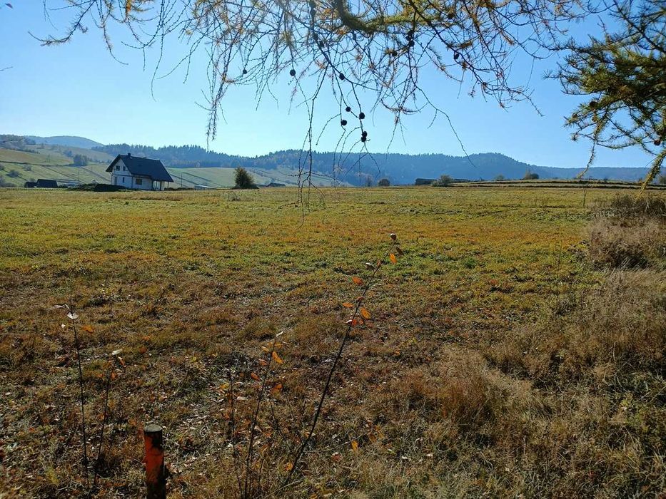 Działka budowlana 10a Bieszczady Bukowiec z widokiem
