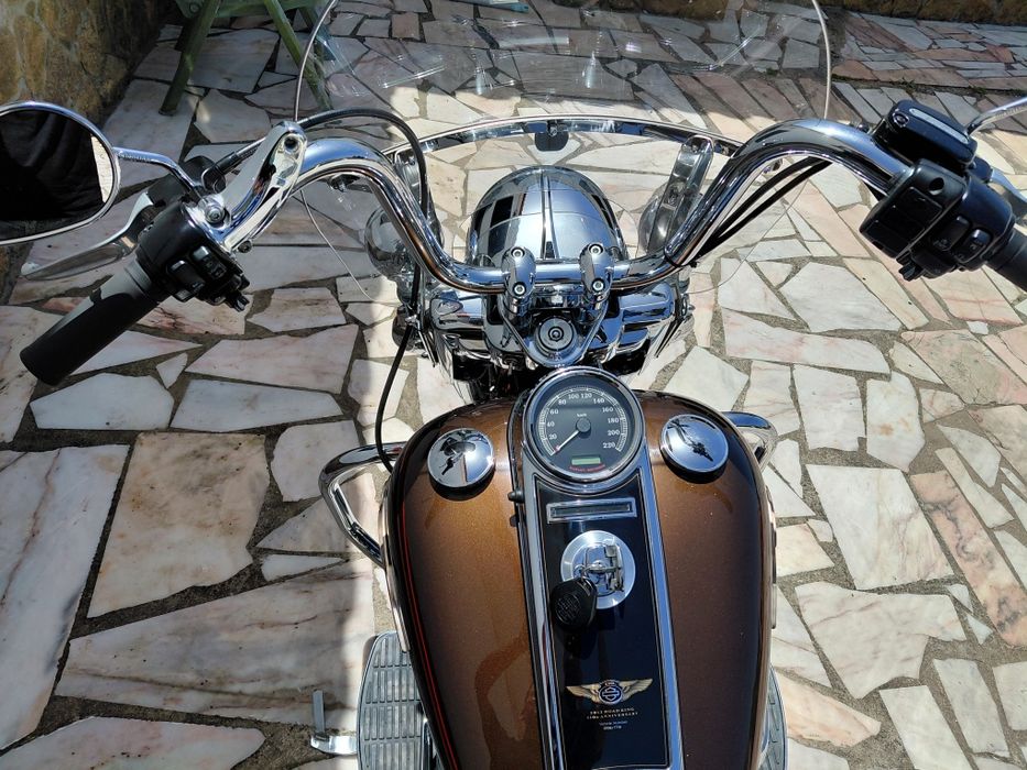 Harley davidson  rod king 110th