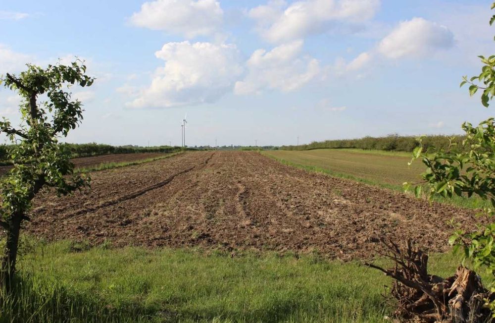 Grunt rolny premium: 2,38 ha (szer. 24,5 m) – Klasa I, płaski teren, wjazd z asfaltu - Widok 3