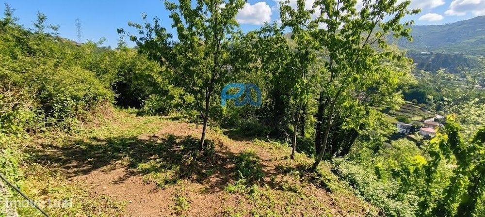 Terreno com Excelentes Vistas- Ótimo Investimento