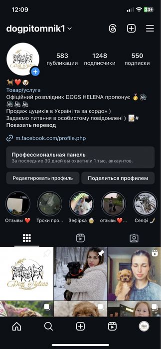 Маленькая крошка кавапу )
