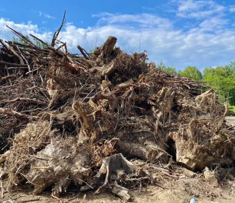 wywóz korzeni gałęzi drzew biomasa recykling