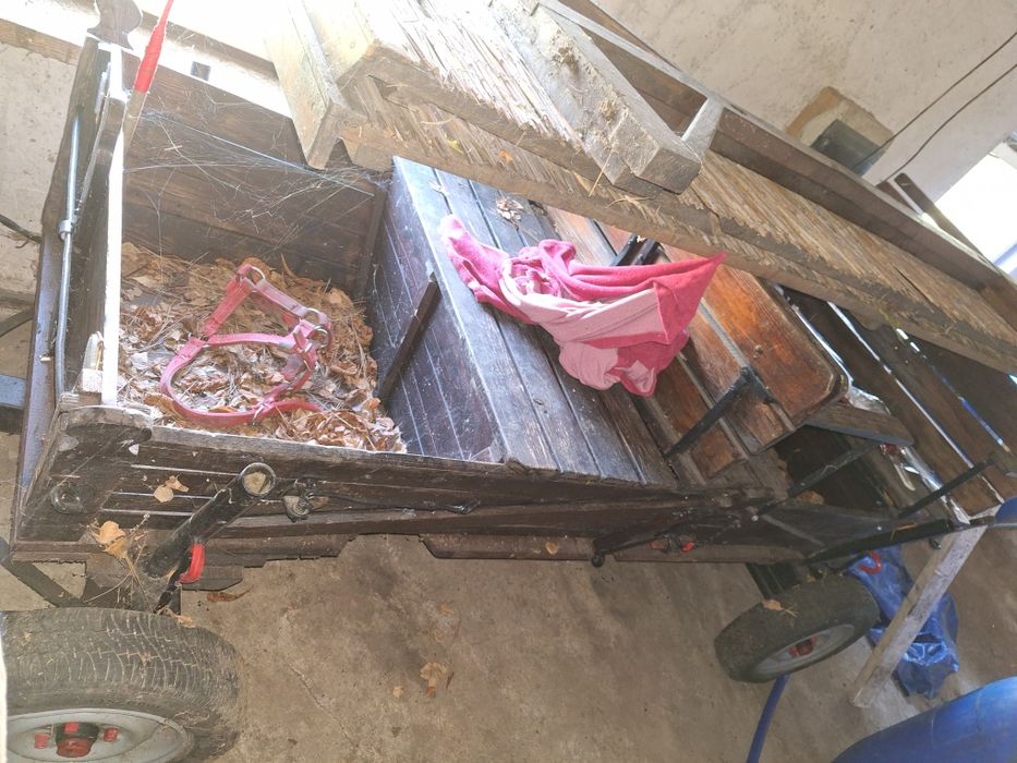 Klatka solidna duża