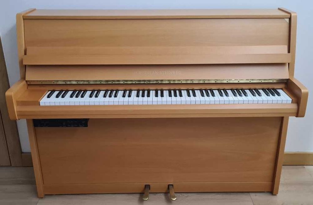 Profesjonalne, najlepsze pianino Grotrian Steinweg 1996 r. + silent