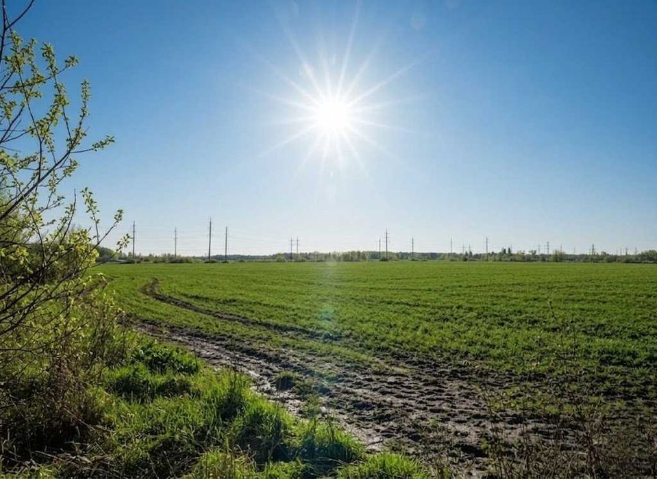 Продаж земельної ділянки 10 соток - ОСГ. Біля лісу. с.Оліївка. ID:747