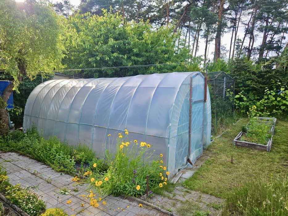 Działka ROD 'Marzenie' 515 m² - Osiedle na Olimpie - murowana altana, kominek, tunel foliowy, borówki - Widok 2