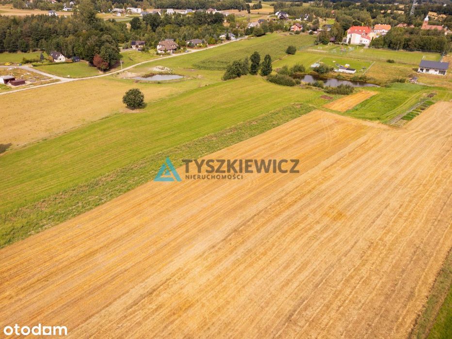 Wydane Warunki Zabudowy | Działka Czeczewo - Więcej