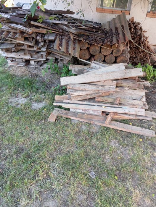 Oddam drzewo na opał za darmo