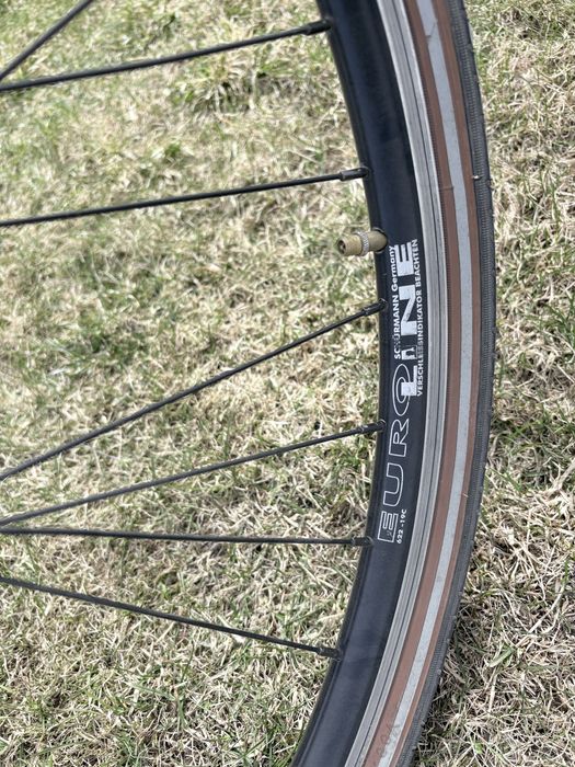 Rower Cossack Pata Negra