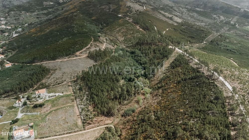 Terreno com ruina / Covilhã, Serra da Estrela