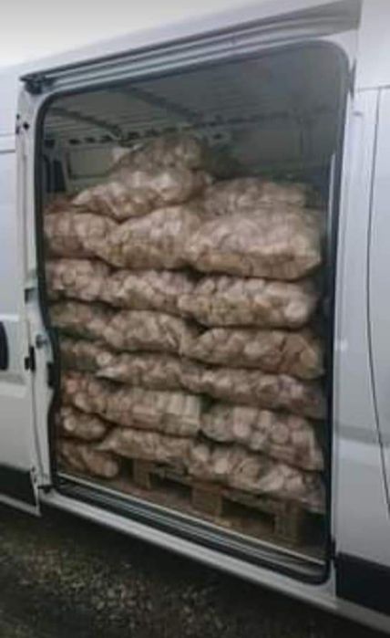 Brykiet bukowy krążki