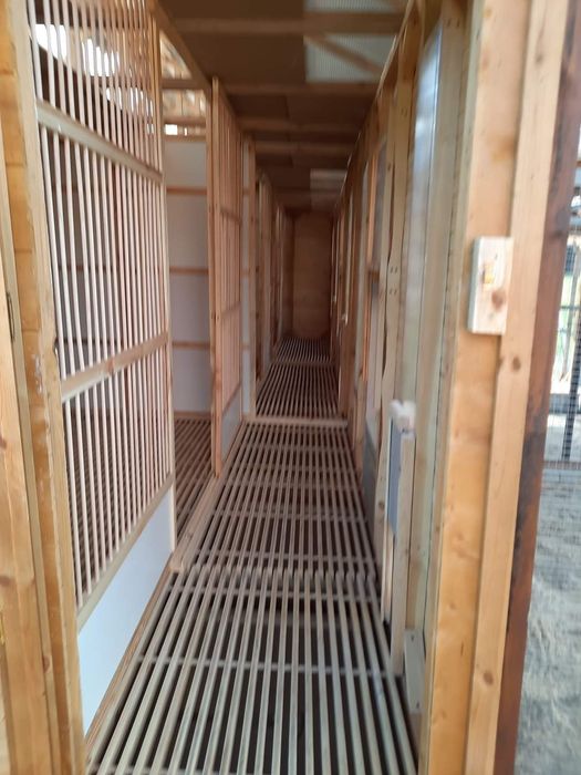 Gołębnik wolnostojący