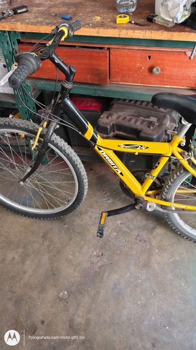 Bicicleta orbita roda 24