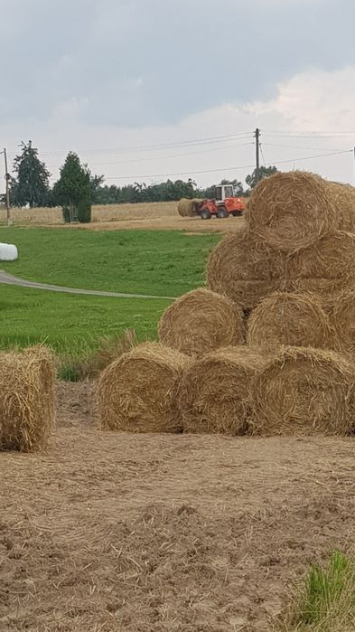 Sprzedam słomę z pszenżyta i owsa