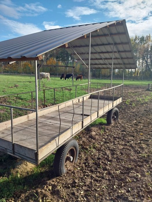 Paśnik dla koni bydła zwierząt danieli kóz siano