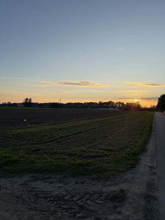 Zdjęcie 8