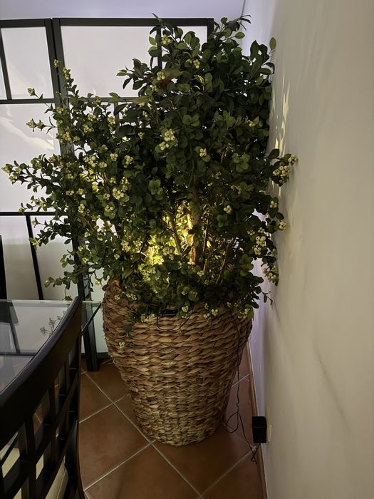Vaso verga 1,10 lar mg plantas artificiais com 1,70 cm alturade classe
