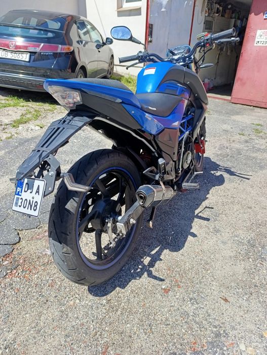 Barton FR 49cm 2023r opłaty na rok.