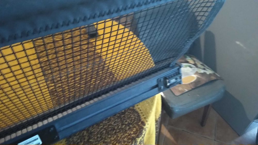 roleta bagażnika samochodowa