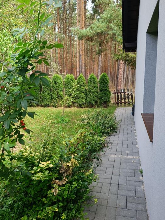 Działka w środku lasu ok.ul Foluszowej - Widok 4
