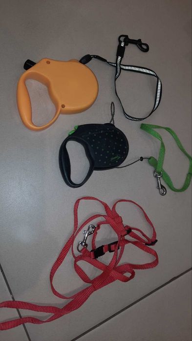 Повідки для собак і котів