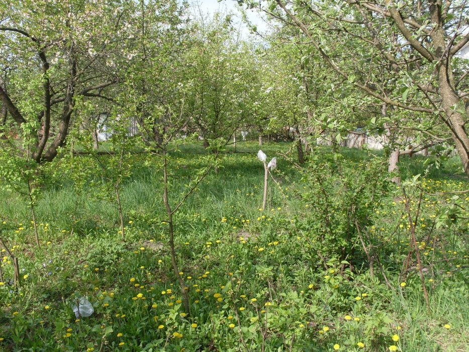 Продам дачну ділянку біля с. Мацьківці