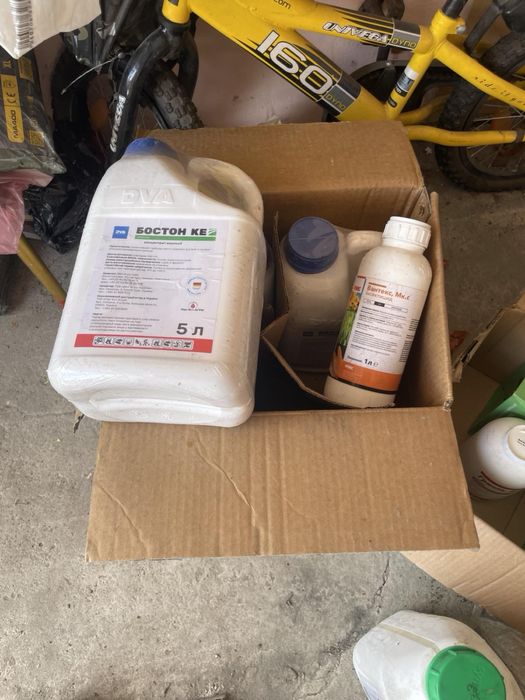 Сумаро альвіус релевант оригінал