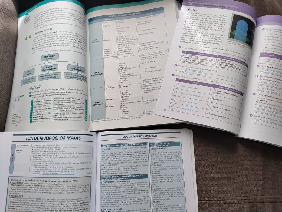 Português 12+ caderno de atividades +síntese de educação literária