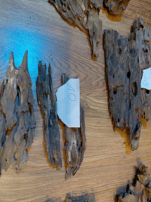 Korzenie do akwarium dragon wood
