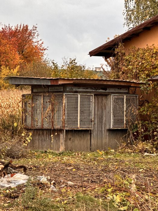 Oddam: Kiosk drewniany | Drewno | Opal