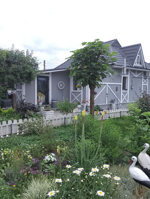 Будинок з  Карпатським чаном, басейном з морською водою, сауною.