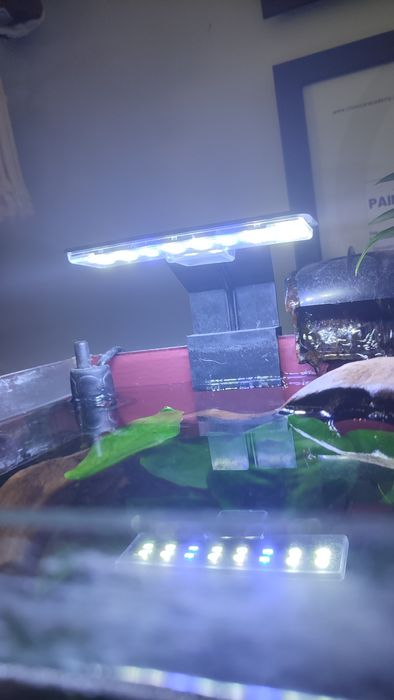 Sprzedam akwarium z bojownikiem