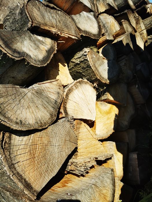 Drewno kominkowe, opałowe dębowe!