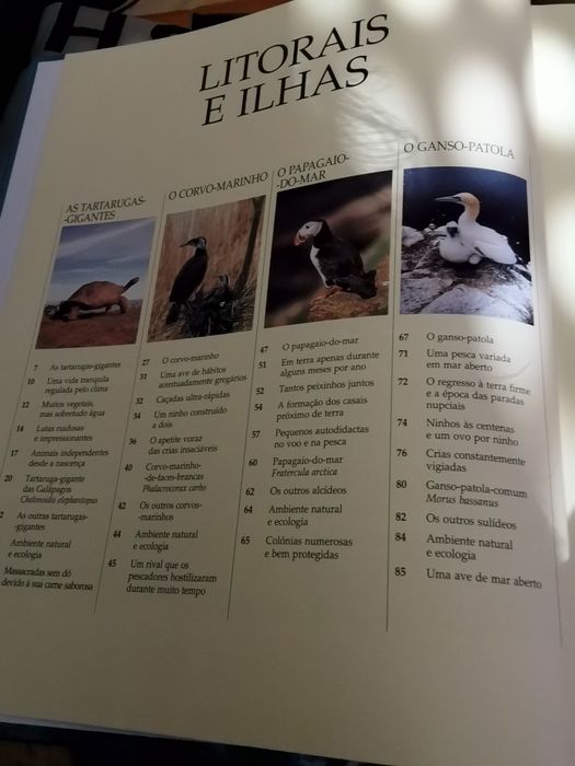 Vida Selvagem : Animais dos litorais e ilhas, Animais dos bosques...