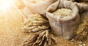 Mieszanka dla kur (owies,jęczmień,pszenica)