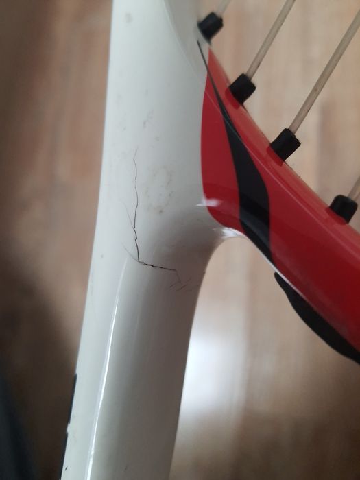 Paletka Wilson FEDERER