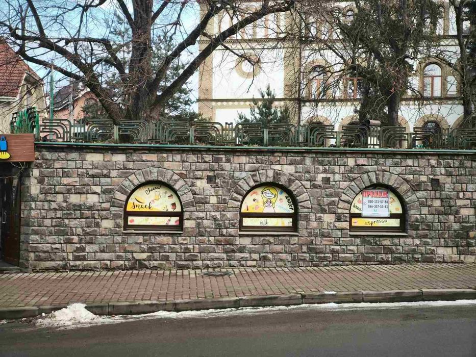 Продається комерційна нерухомість, вул. Собранецька 2 Код: 40831