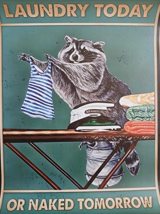 Zabawny plakat z szopem praczem plakat do łazienki 30x40 Nowy